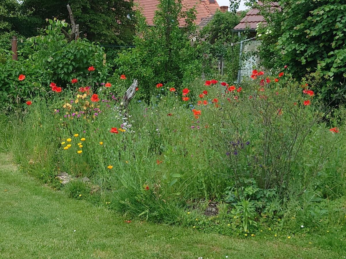 Ferienhof-Rietschen-Neuliebel Eksteriør billede