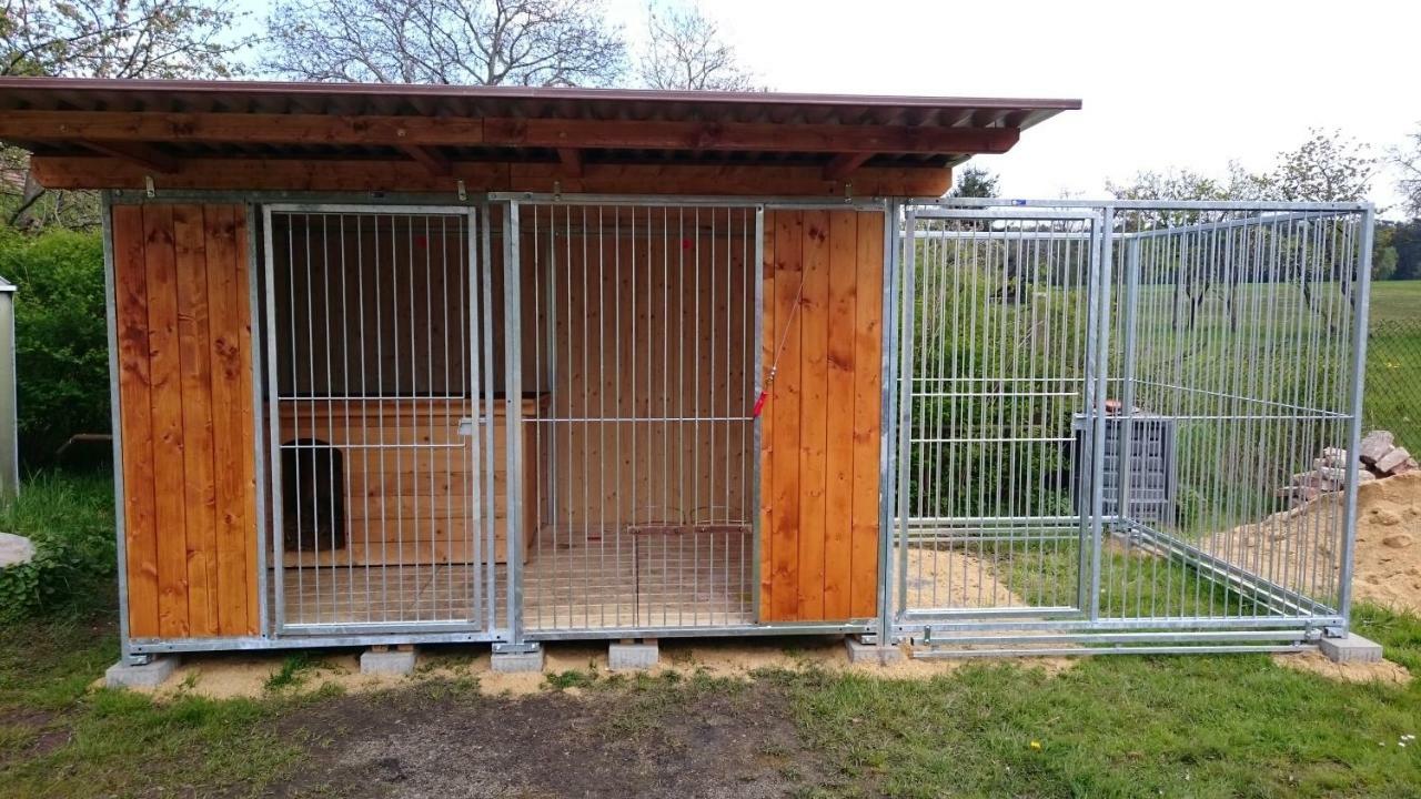 Ferienhof-Rietschen-Neuliebel Eksteriør billede